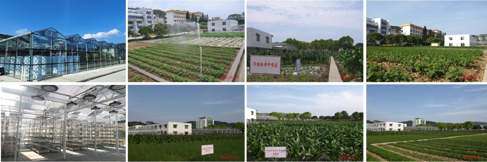 实践教学基地.jpg