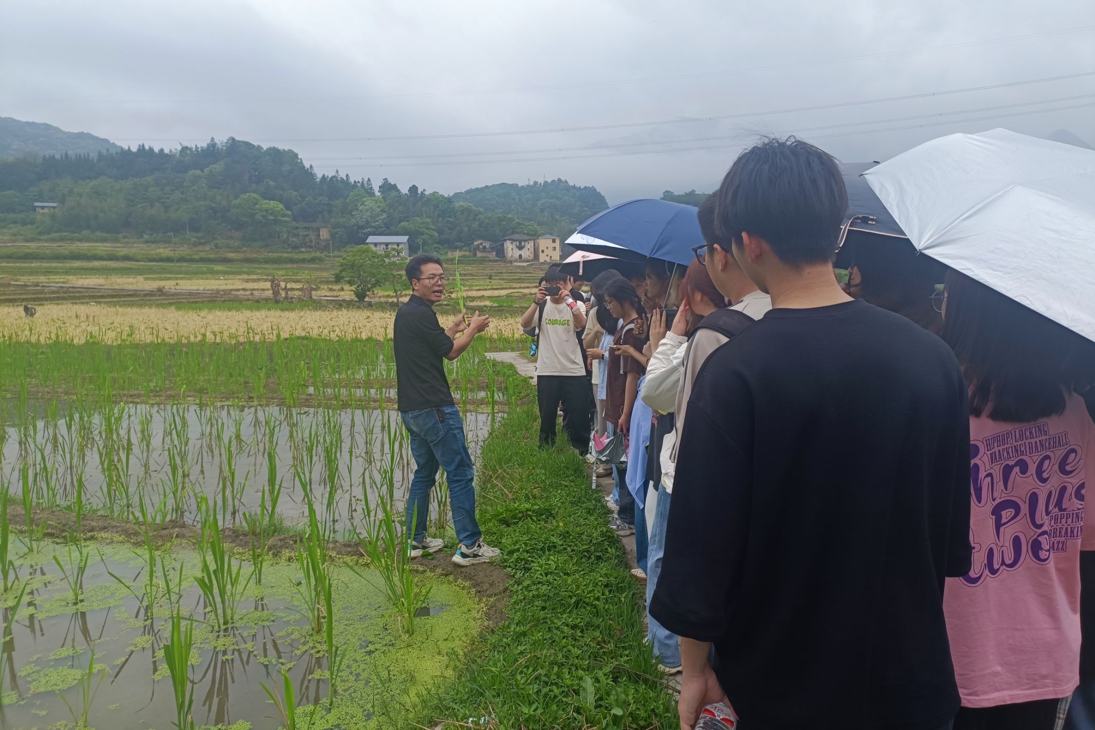 陈道钳老师为同学们讲解茭白.jpg